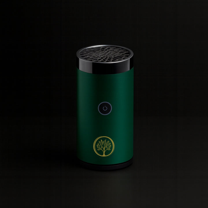 Electric Portable Burner