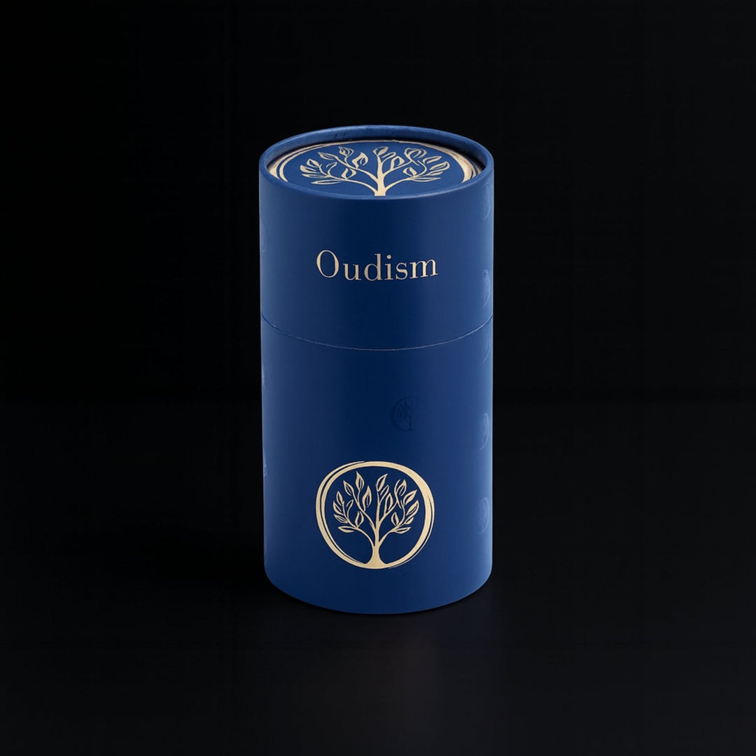 Electric Portable Burner - Oudism