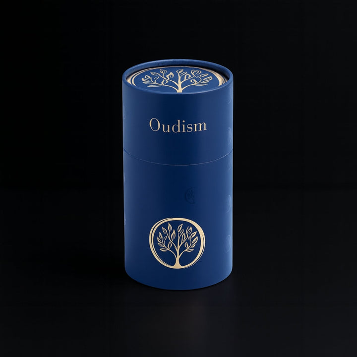 Electric Portable Burner - Oudism