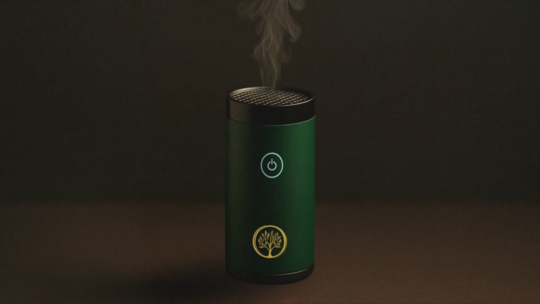 Electric Portable Burner